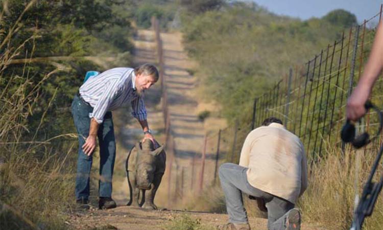 Shooting with orphaned rhino Gertjie